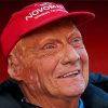 Aesthetic Niki Lauda Diamond Painting