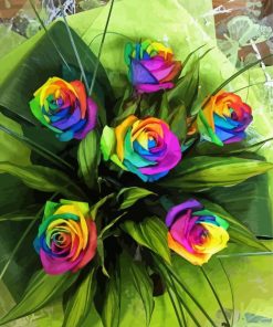 Aesthetic Rainbow Roses Diamond Painting