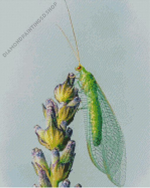 Aesthetic Lacewing Insect Art Diamond Painting