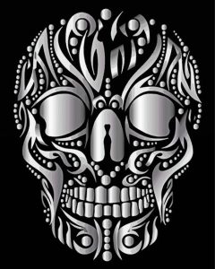 Aesthetic Silver Skull Diamond Painting