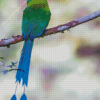 Beautiful Motmot Diamond Painting