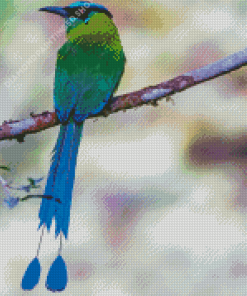 Beautiful Motmot Diamond Painting