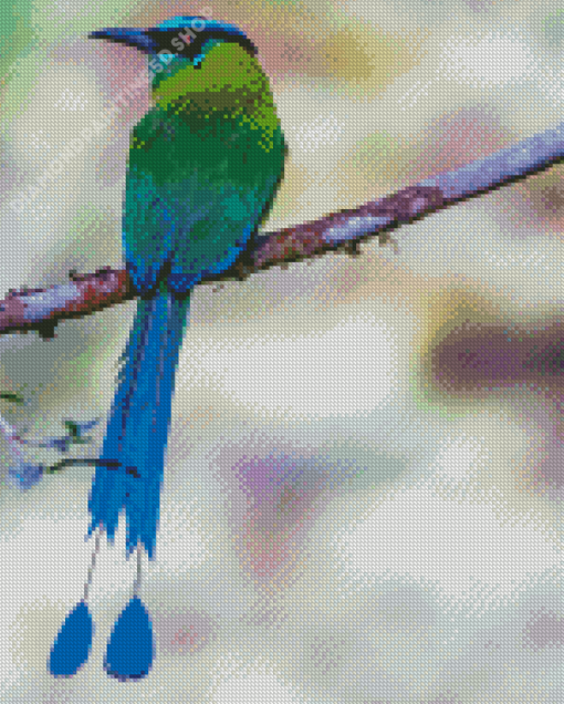 Beautiful Motmot Diamond Painting