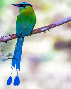 Beautiful Motmot Diamond Painting