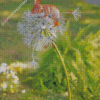 Beautiful Mouse And Dandelion Diamond Painting