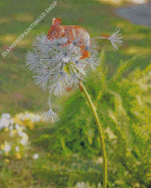 Beautiful Mouse And Dandelion Diamond Painting