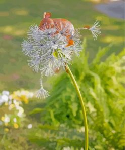 Beautiful Mouse And Dandelion Diamond Painting
