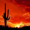 Beautiful Cactus Sunset Diamond Painting