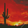 Beautiful Cactus Sunset Diamond Painting