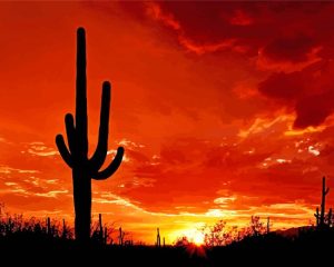 Beautiful Cactus Sunset Diamond Painting