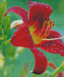Beautiful Red Lily Flower Diamond Painting