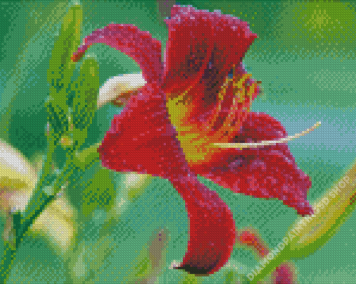 Beautiful Red Lily Flower Diamond Painting