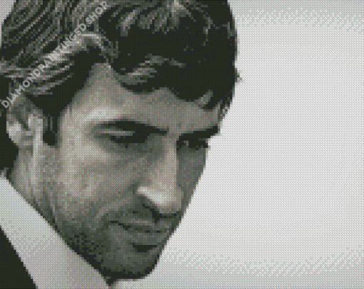 Black And White Raul Gonzalez Diamond Painting