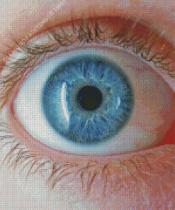 Blue Eye Diamond Painting