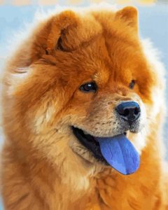 Chow Chow Diamond Painting