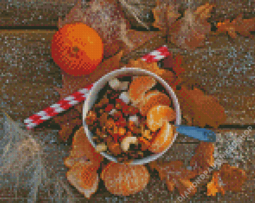 Clementine With Dry Fruits In Bowl Diamond Painting