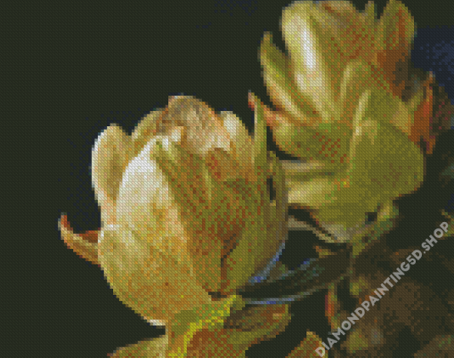 Climber Plant Hops Fruit Diamond Painting