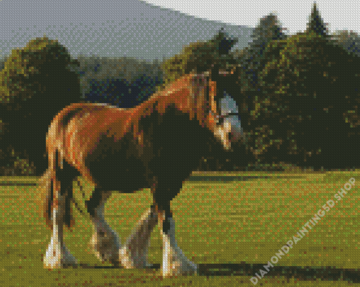 Clydesdale In Field Diamond Painting