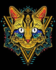 Cool Cat Mandala Diamond Painting