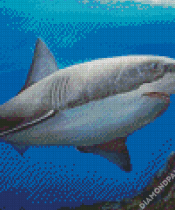 Cool Great White Shark Diamond Painting
