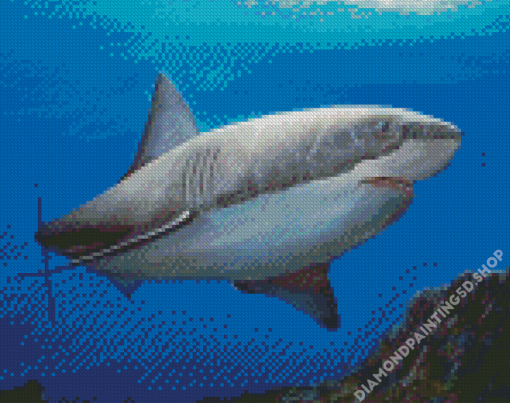 Cool Great White Shark Diamond Painting