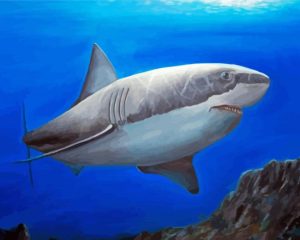 Cool Great White Shark Diamond Painting