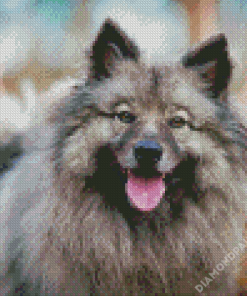 Cute Keeshond Dog Diamond Painting