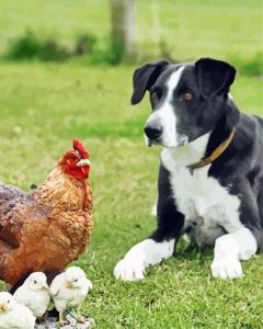 Dog With Chickens Diamond Painting