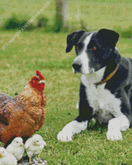 Dog With Chickens Diamond Painting