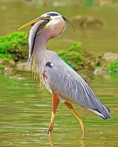 Happy Heron With Fish Diamond Painting