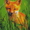 Orange Baby Fox Diamond Painting