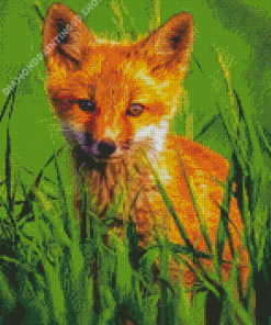 Orange Baby Fox Diamond Painting