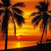 Palms Sunset View On The Sea Diamond Painting