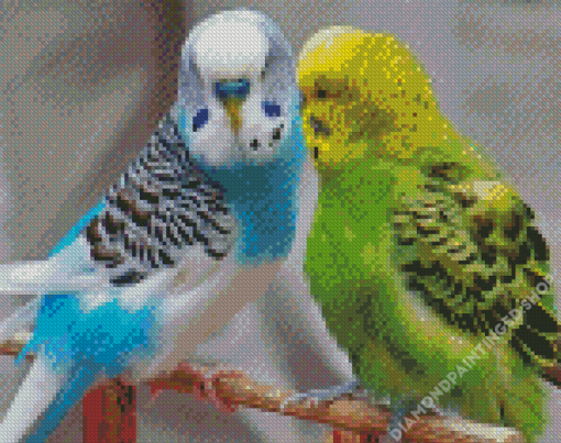 Parakeets Diamond Painting