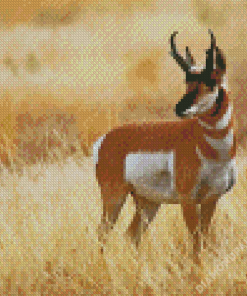 Pronghorn Wild Animal Diamond Painting
