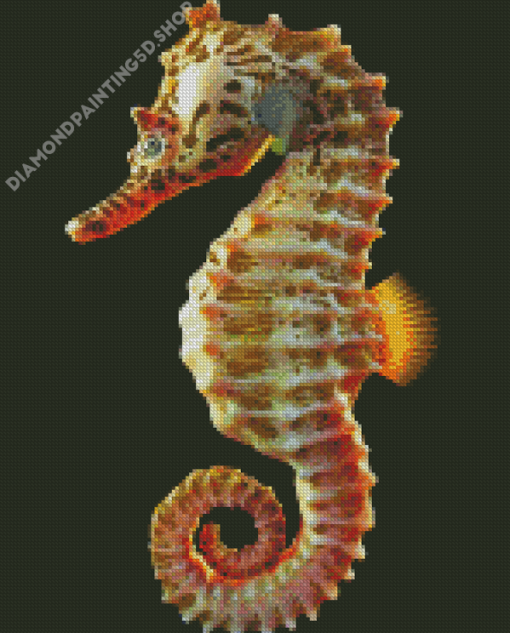 Seahorse Tubo Diamond Painting