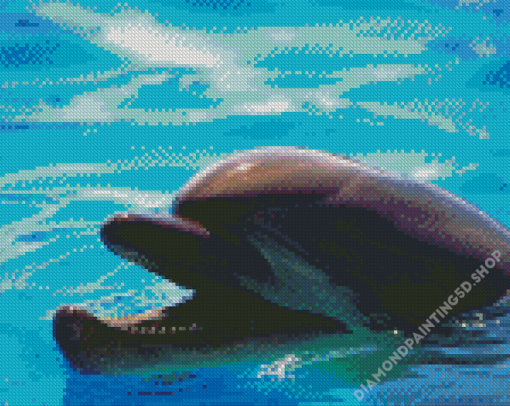Smiling Dolphin Diamond Painting