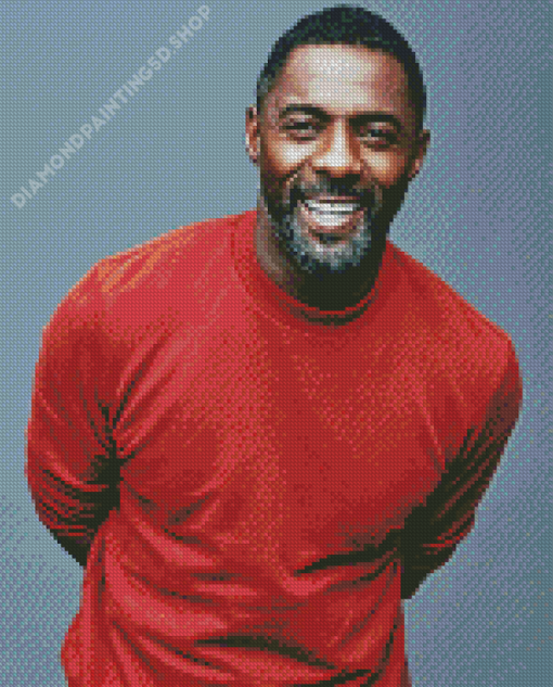 The Actors Idris Elba Diamond Painting