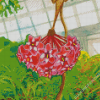 Wax Plant Illustration Diamond Painting