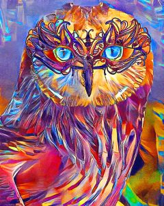 Abstract Owl Bird Art Diamond Painting