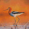 American Avocets Diamond Painting