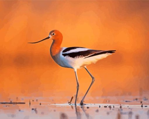 American Avocets Diamond Painting