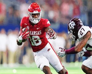 Arkansas Razorbacks Players Diamond Painting