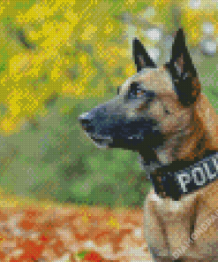 Belgian Malinois Police Dog Diamond Painting