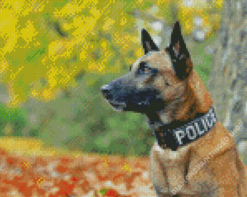 Belgian Malinois Police Dog Diamond Painting