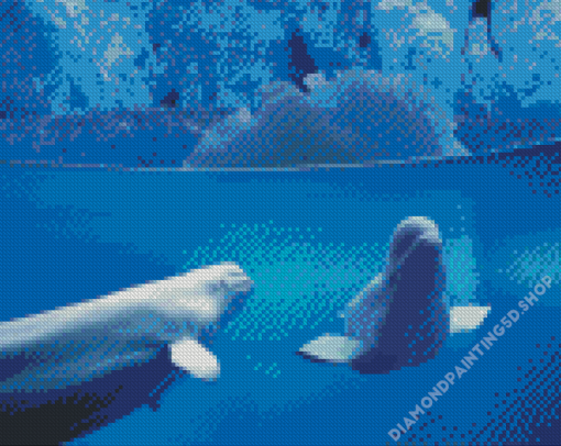 Beluga Whales Underwater Diamond Painting