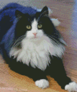 Cute Cat Tuxedo Diamond Painting