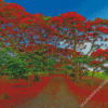 Flamboyant Trees Diamond Painting