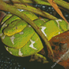 Green Emerald Snake Diamond Painting