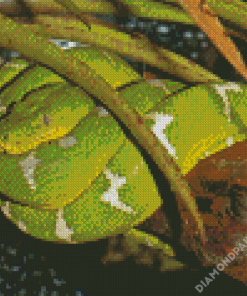 Green Emerald Snake Diamond Painting